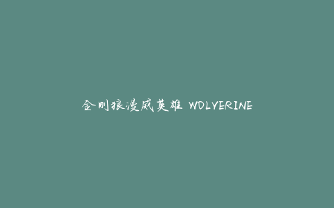 金刚狼漫威英雄 WOLVERINE